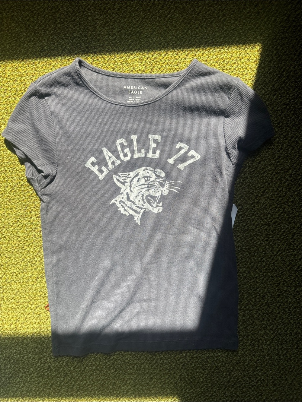 Dark Grey Ribbed Baby Tee American Eagle SZ XS
